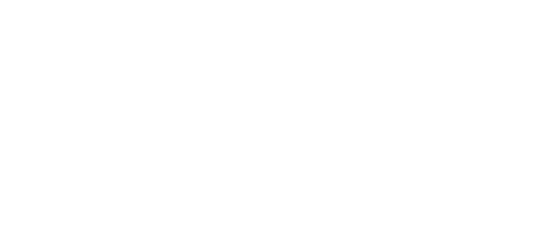 Slate Wines Logo